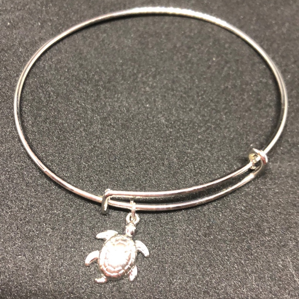Expandable bracelet with turtle charm